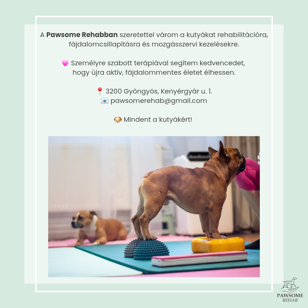 Pawsome Rehab